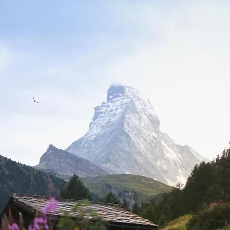 Holiday Escape Stylish Studio -Prime Location Near Matterhorn Gondola