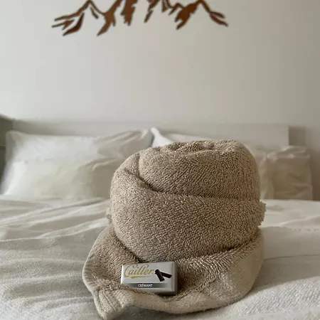 Holiday Escape Studio - Stylish & Central - Steps To Matterhorn Gondola Appartamento Zermatt